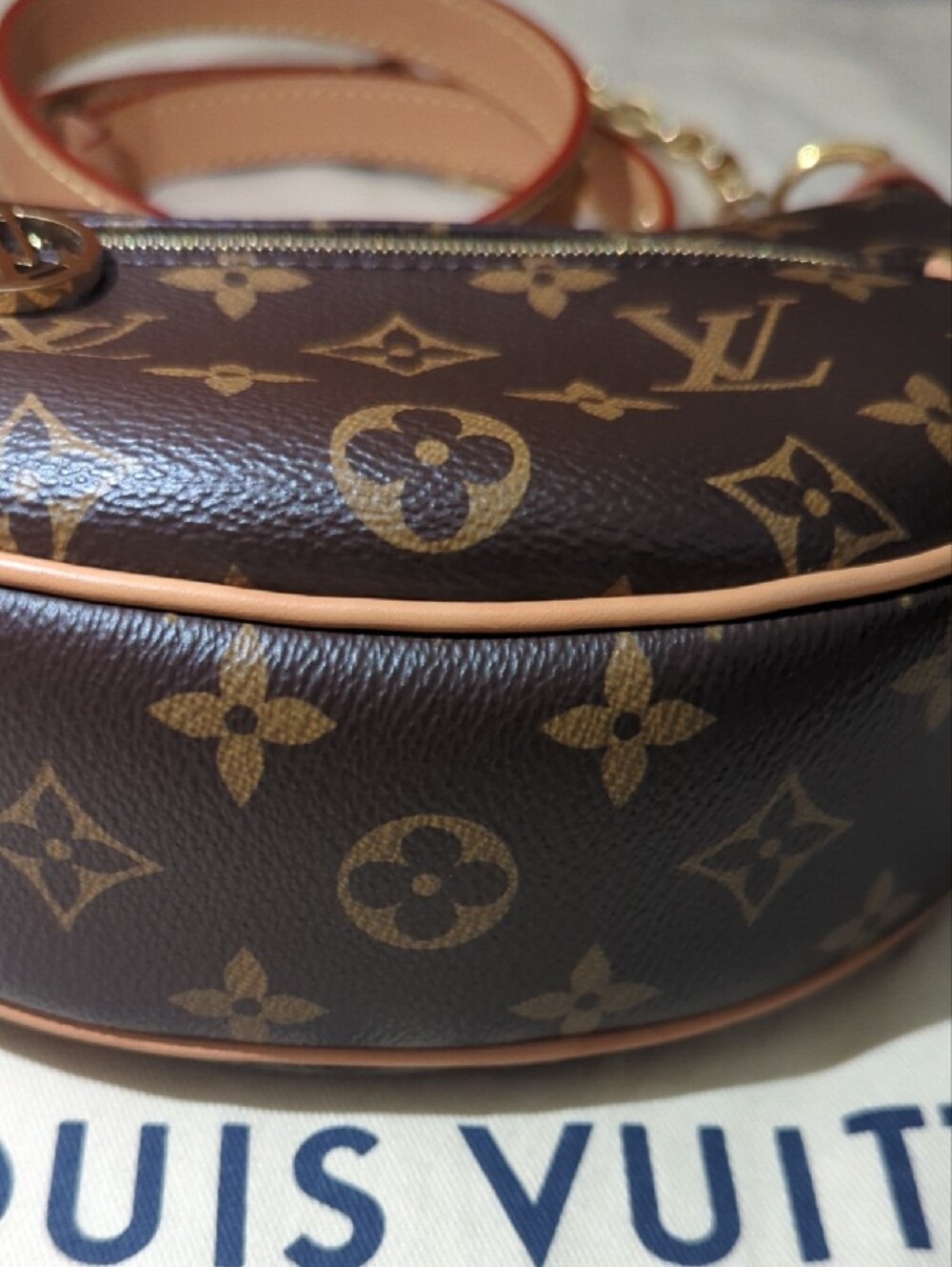 Louis Vuitton Monogram Loop - Picture 11 of 11